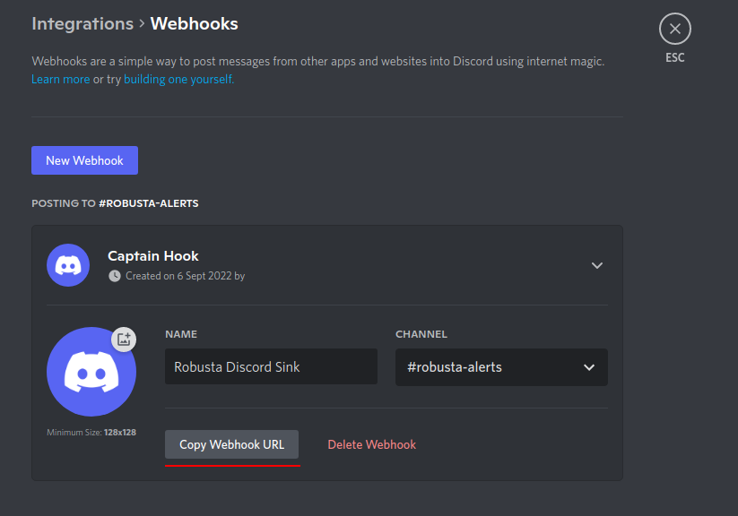 Discord Rules & Info Channel Setup (Beautiful Embed with Discohook) 